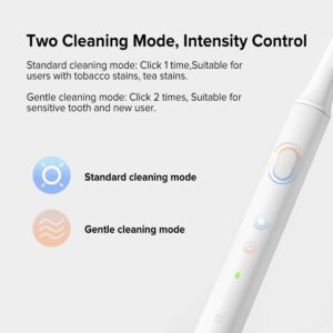 11 xiaomi mijia t 100 sonic electric toothbr main 4