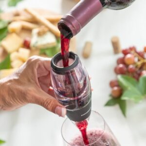 wine aerator with filter stand and carry pouch wineir innovagoods 660757 10