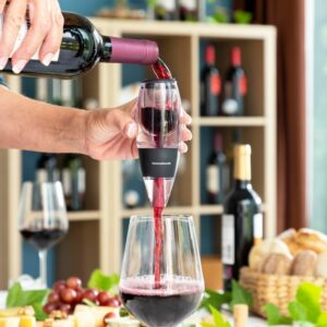 wine aerator with filter stand and carry pouch wineir innovagoods 660757 8