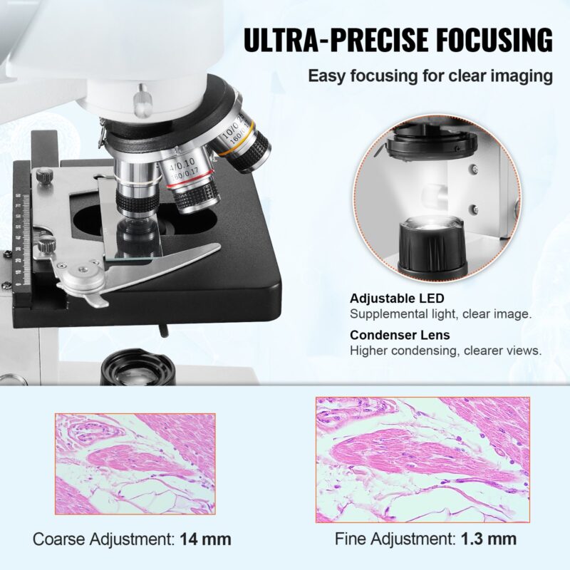 us FSXWJ2500XSM1JITDV5 original img v2 microscope f2