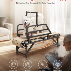 us FDDGGPBJDXQLRMHH8V0 original img v2 dog treadmill f1