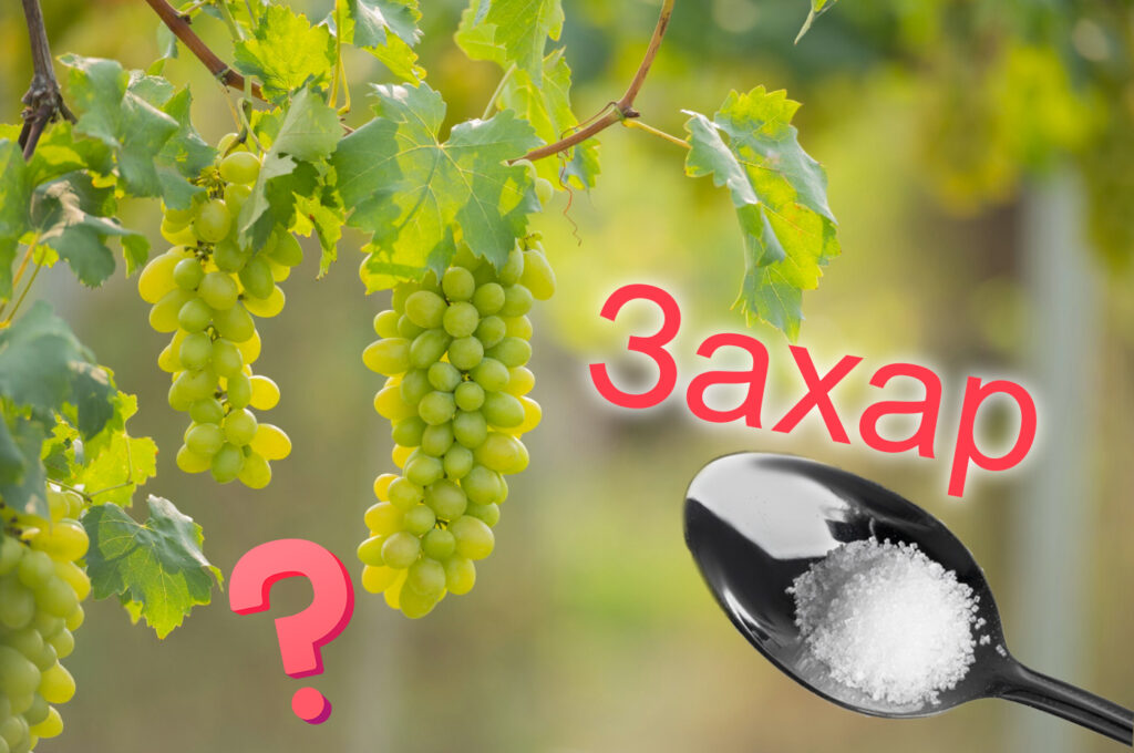 Колко Захар се Слага на 100 кг Грозде за Ракия