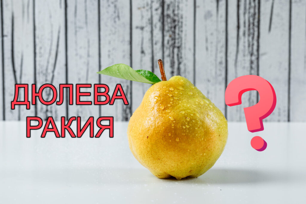 как се прави дюлева ракия