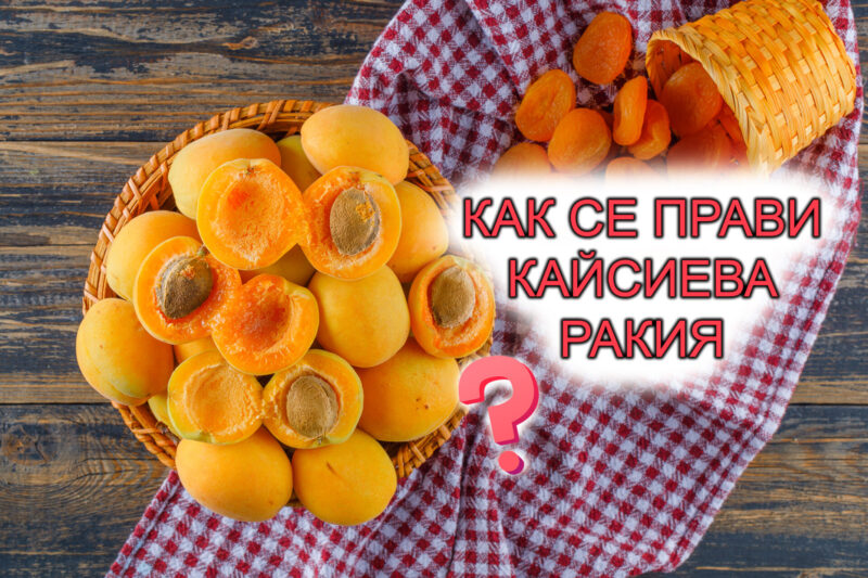 как се прави кайсиева ракия