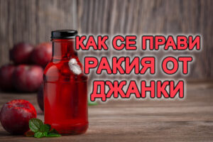 как се прави ракия от джанки