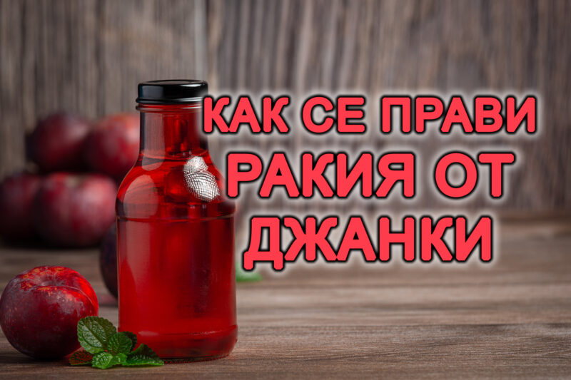 как се прави ракия от джанки