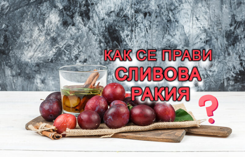 как се прави сливова ракия