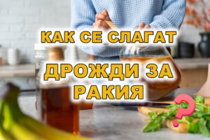 как се слагат дрожди за ракия