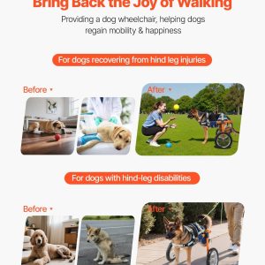 imgi 1089 us2FCWLYLLSTDHXL2W9B4001V02Foriginal img v12Fdog wheelchair f1
