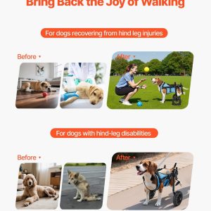 imgi 1091 us2FCWLYLLSXHSLLCWMCK001V02Foriginal img v12Fdog wheelchair f1