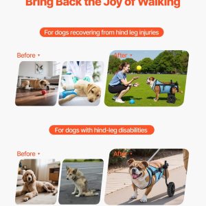 imgi 1097 us2FCWLYLLSZHMLLG0BX1001V02Foriginal img v12Fdog wheelchair f1