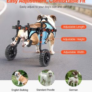 imgi 1103 us2FCWLYLLSZHMLLG0BX1001V02Foriginal img v12Fdog wheelchair f4