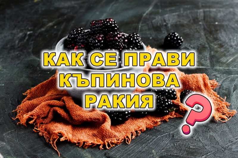 Как се прави къпинова ракия - пресни къпини в купа и заглавие върху изображението