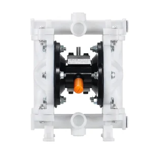 us QDGMBJBXBT05NLWJL001V0 original img v1 diaphragm pump m100 10