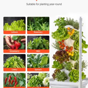 imgi 1093 us2FXZZKJSPTDSZDWZYUY001V22Foriginal img v12Fhydroponics tower f5