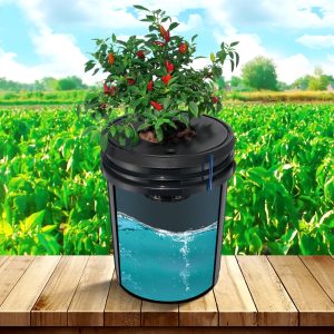 imgi 1100 us2FSSSPXTYX8110VT55FV22Foriginal img v12Fdwc hydroponic system m100 1.12