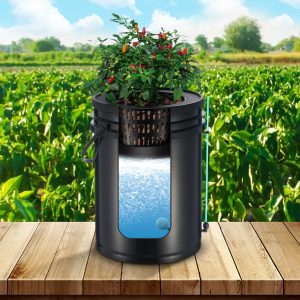 imgi 1172 us2FSSSPXT1T8INKXKB8IV22Foriginal img v32Fdwc hydroponic system m100 1.12